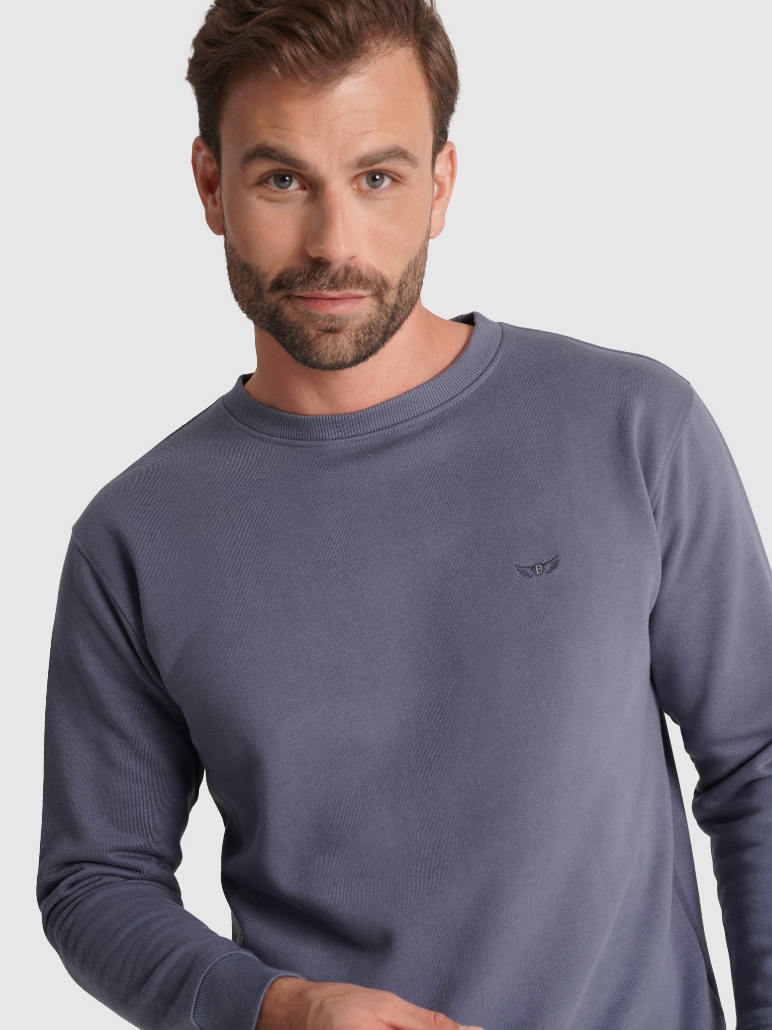SUDADERA DE ALGODÓN AZUL MANGA LARGA REGULAR FIT MR. AZUL