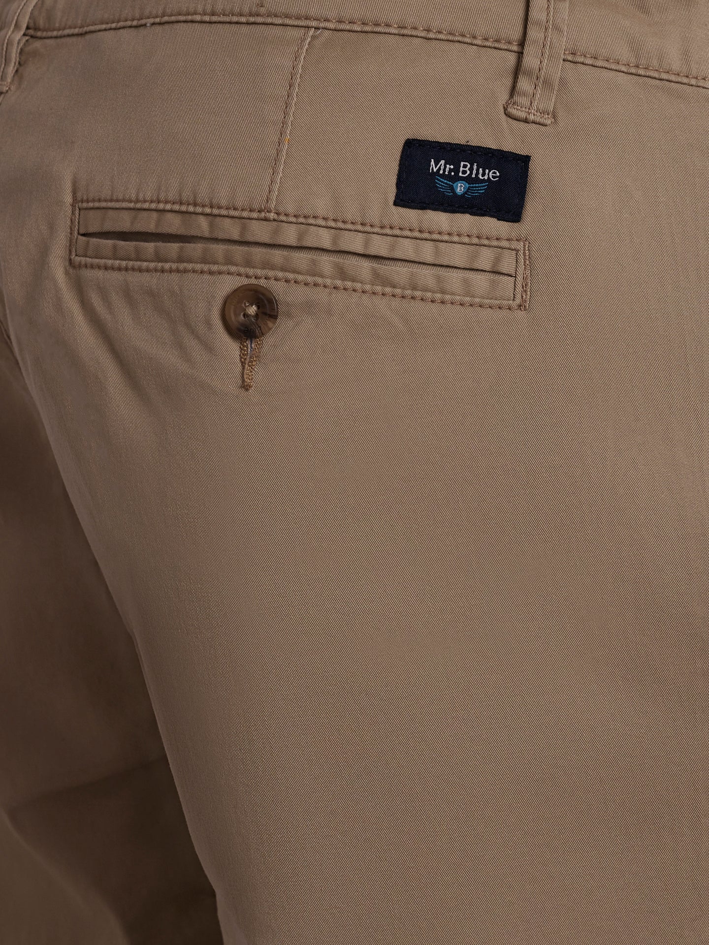 Slim Fit Beige Mr. Blue Shorts