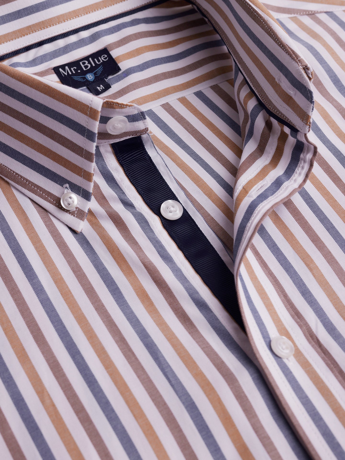 Brown Mr. Blue Regular Fit Oxford Shirt
