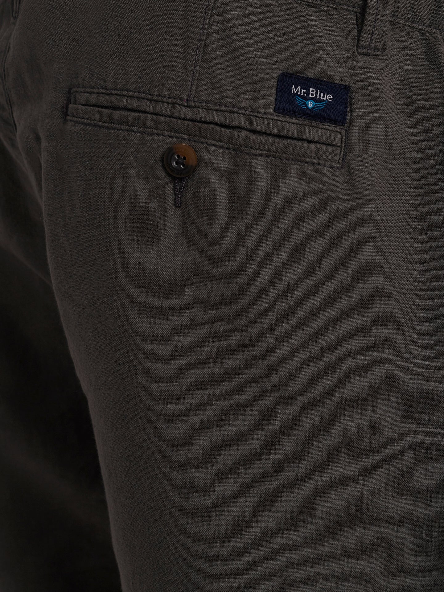 Mr. Blue Green Slim Fit Shorts