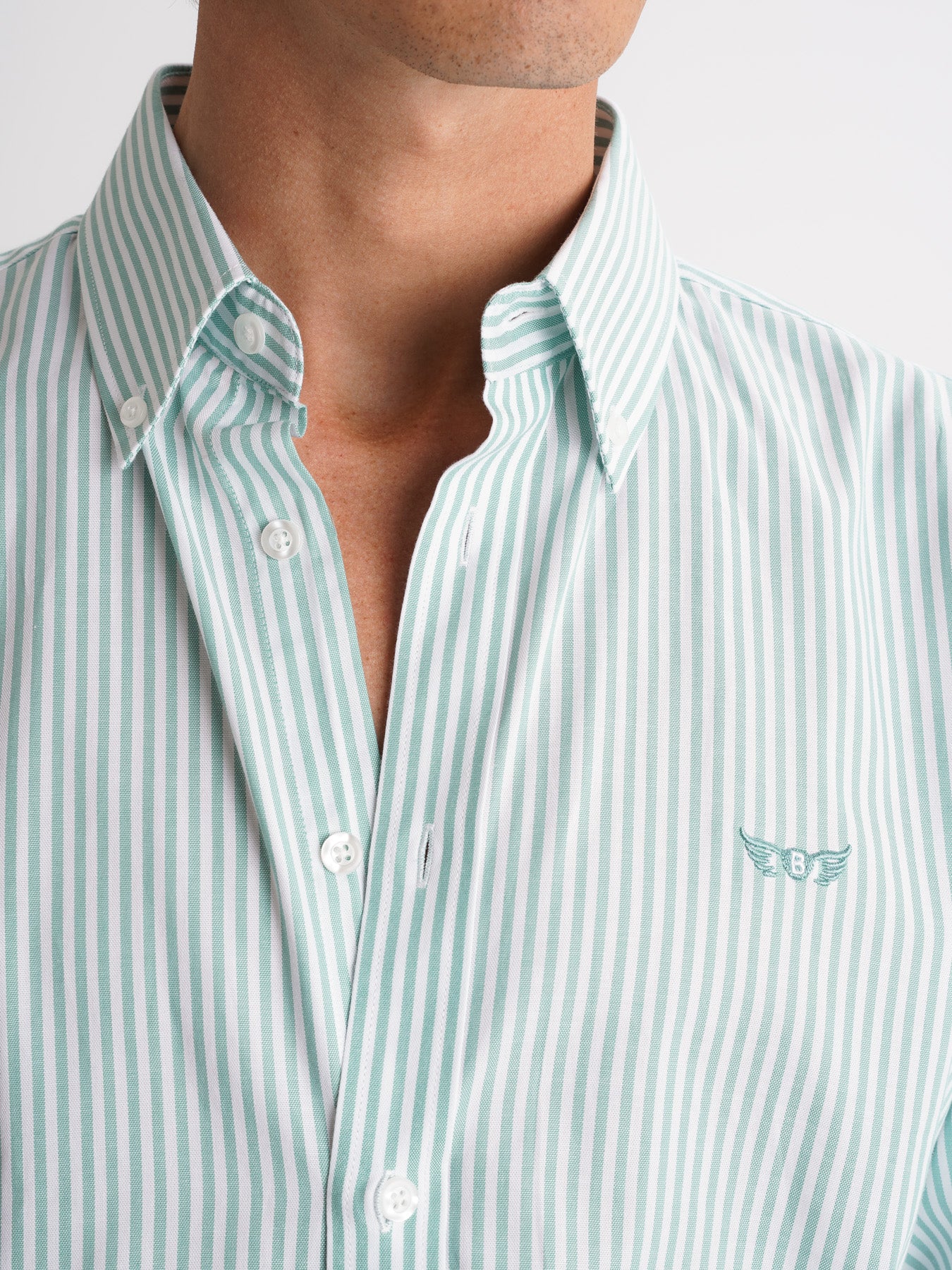 Camisa Oxford Corte Regular Mr. Blue Verde