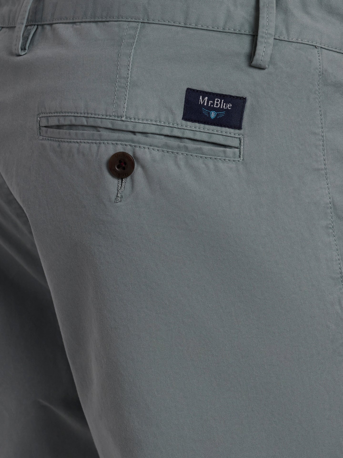 Mr. Blue Slim Fit Twill Green Chinos