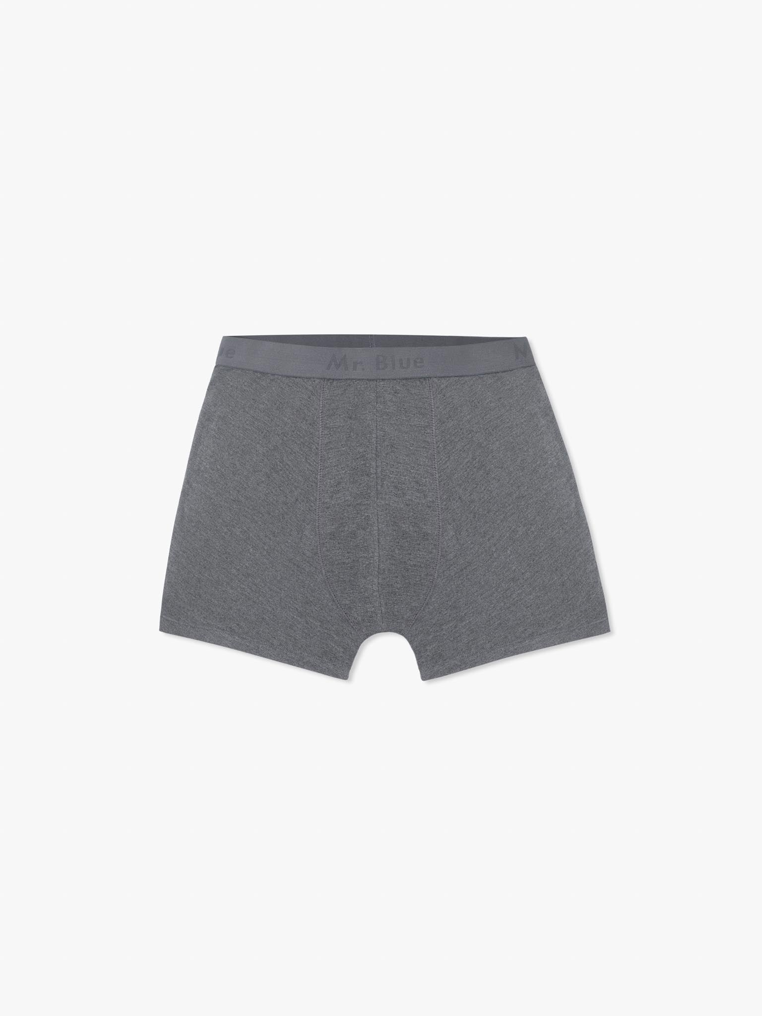 BOXER GRIS REGULAR FIT MR. AZUL