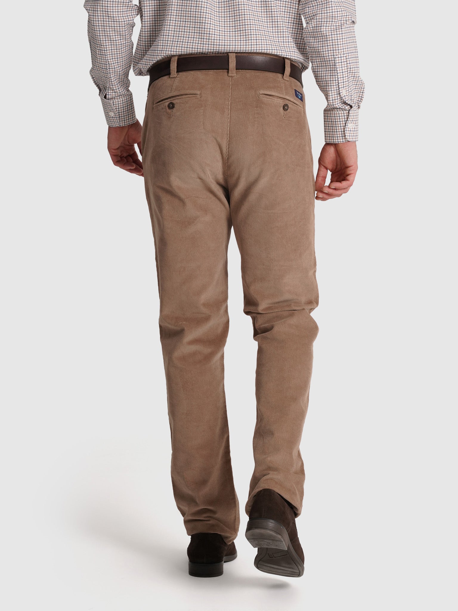 Calça Algodão Camels Regular Fit Mr. Blue