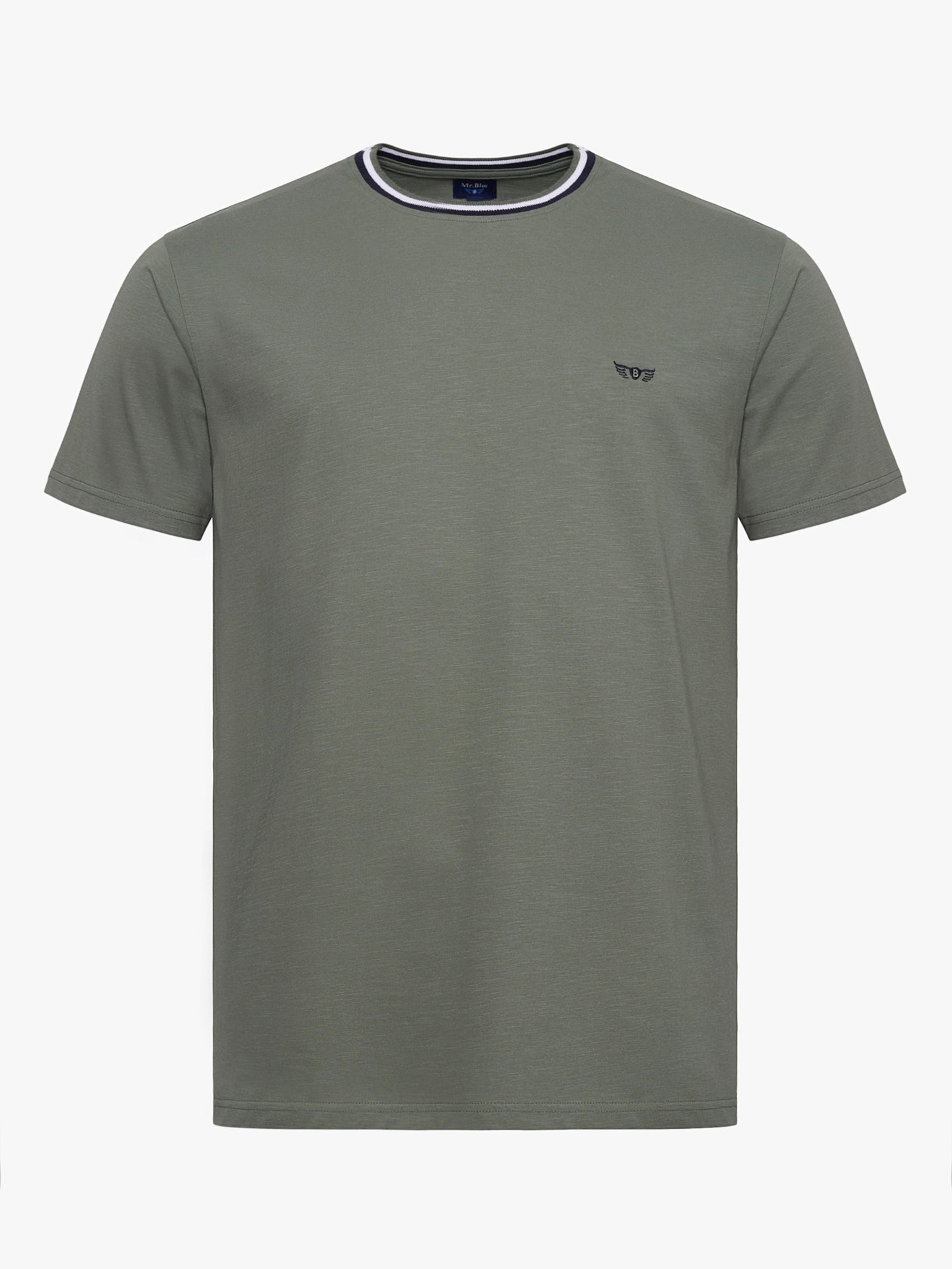 T-SHIRT ALGODÃO VERDE MANGA CURTA REGULAR FIT MR. BLUE