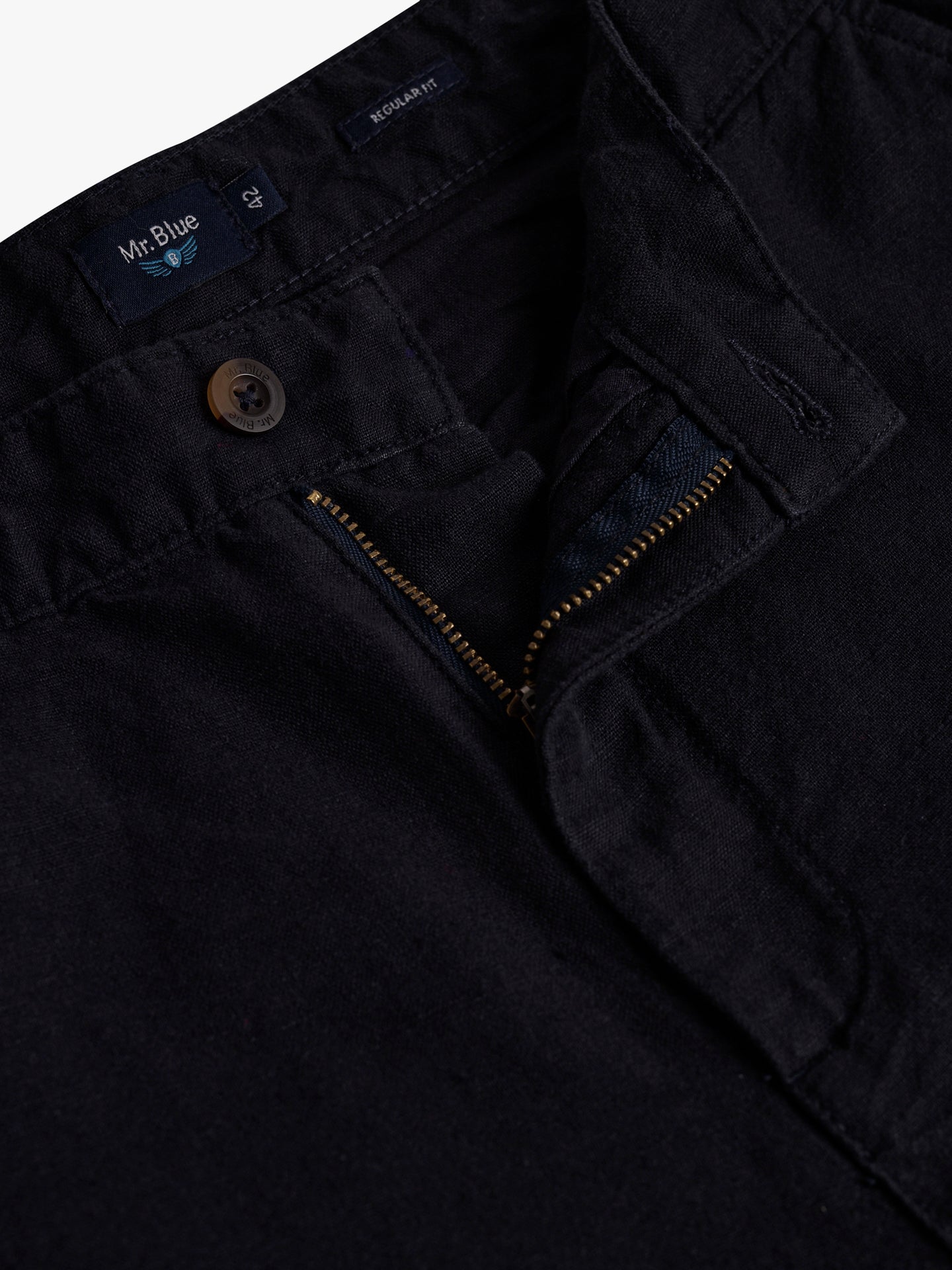 Mr. Blue Regular Fit Linen Chinos Pants