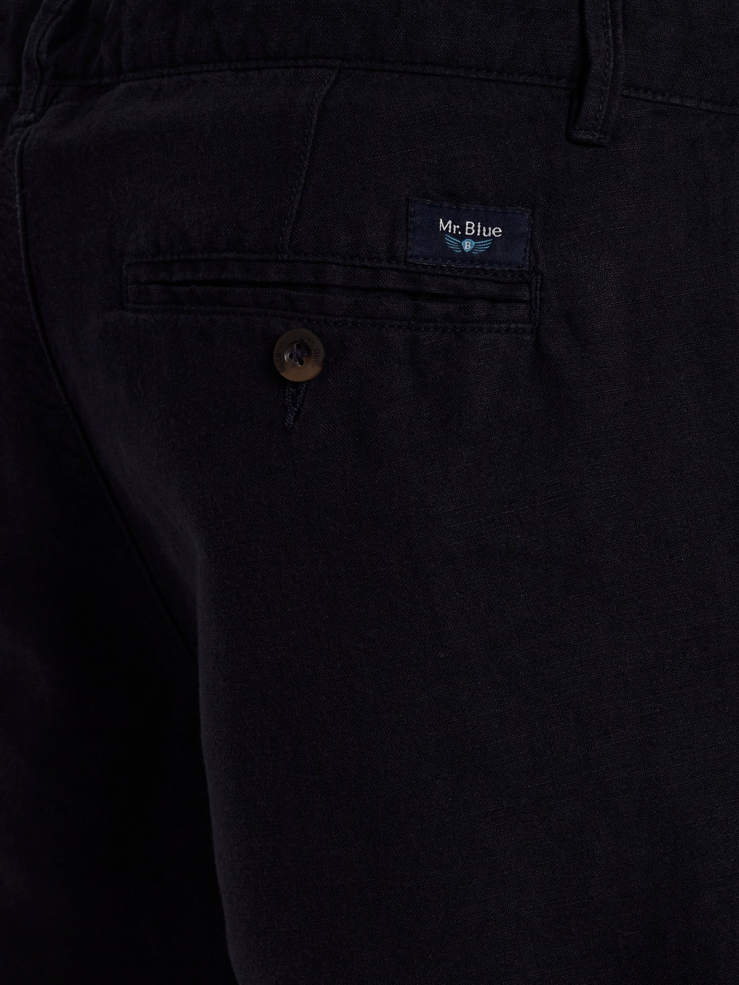 Mr. Blue Regular Fit Linen Chinos Pants