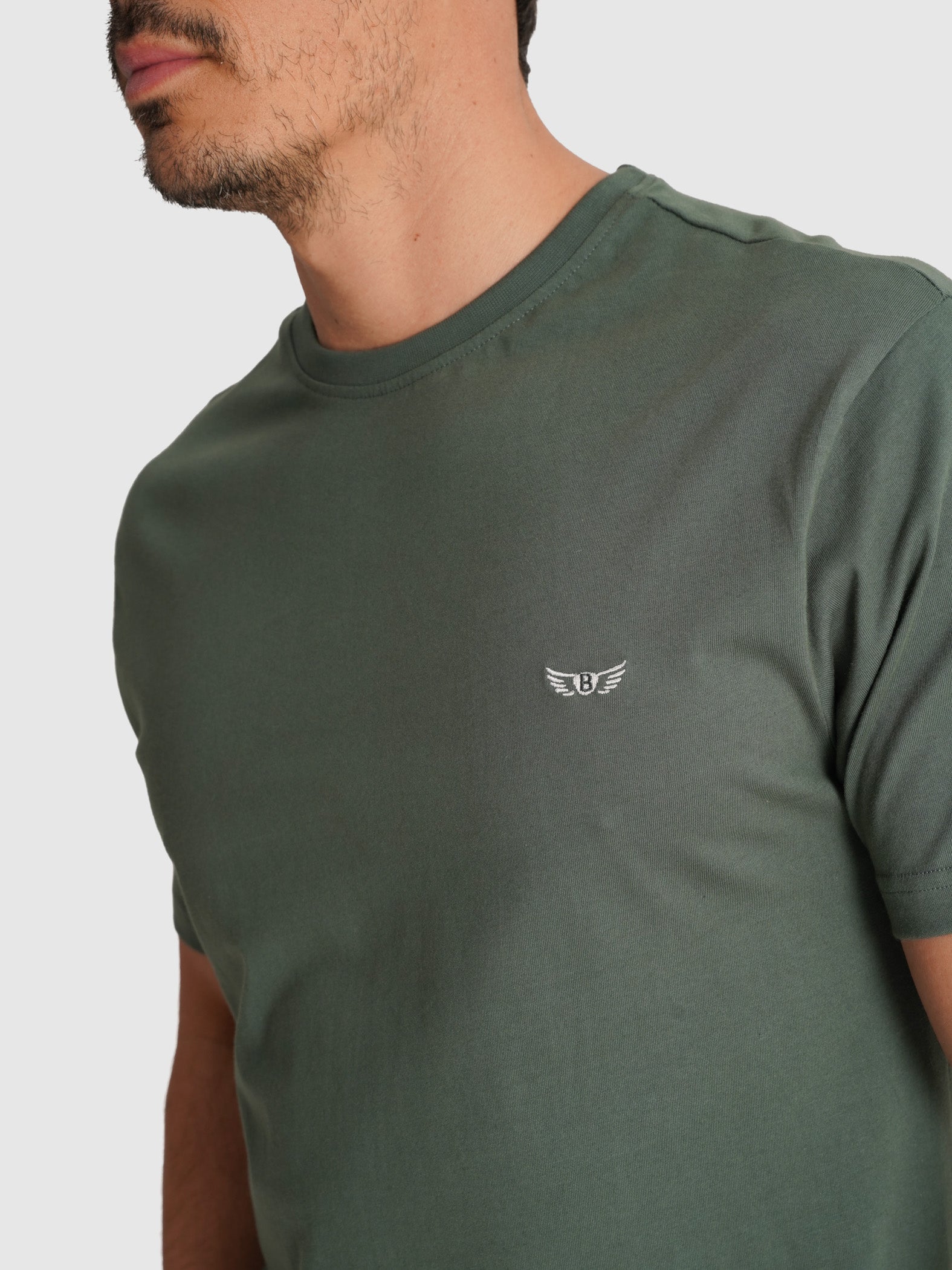 CAMISETA VERDE MANGA CORTA REGULAR FIT MR. AZUL