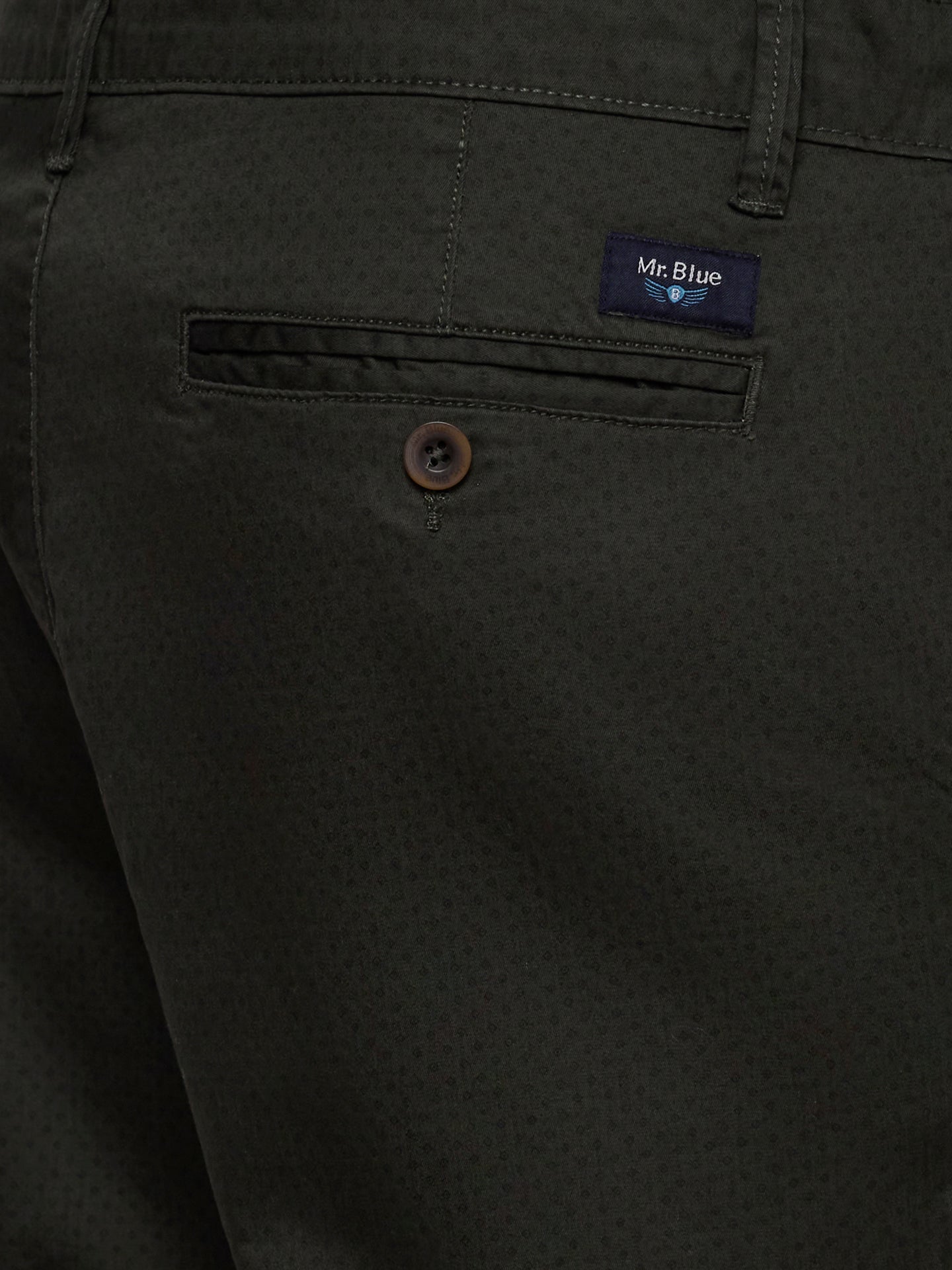 Mr. Blue Regular Fit Green Shorts