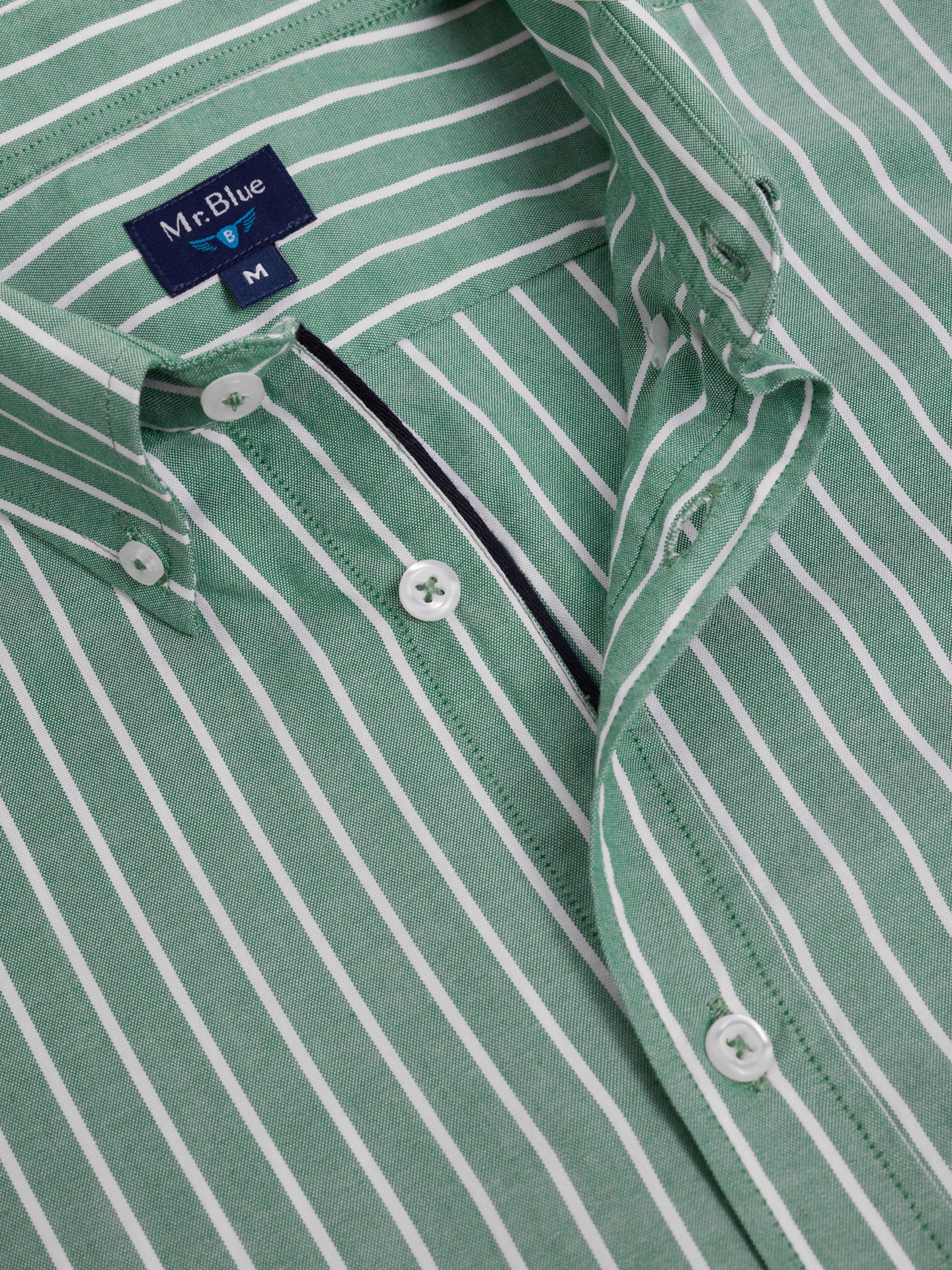 CAMISA ALGODÃO VERDE MANGA COMPRIDA REGULAR FIT MR. BLUE