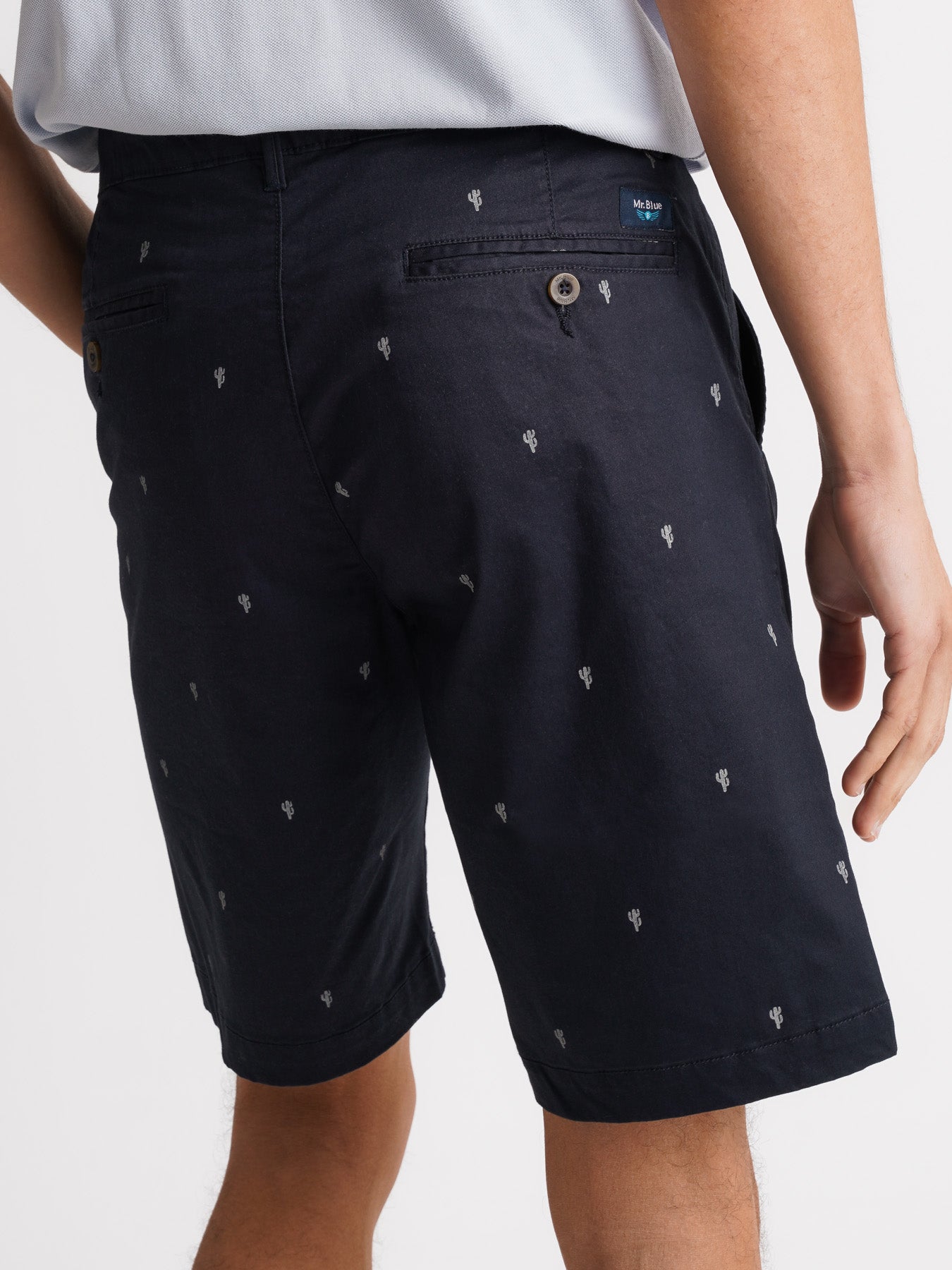 Mr. Blue Regular Fit Blue Shorts