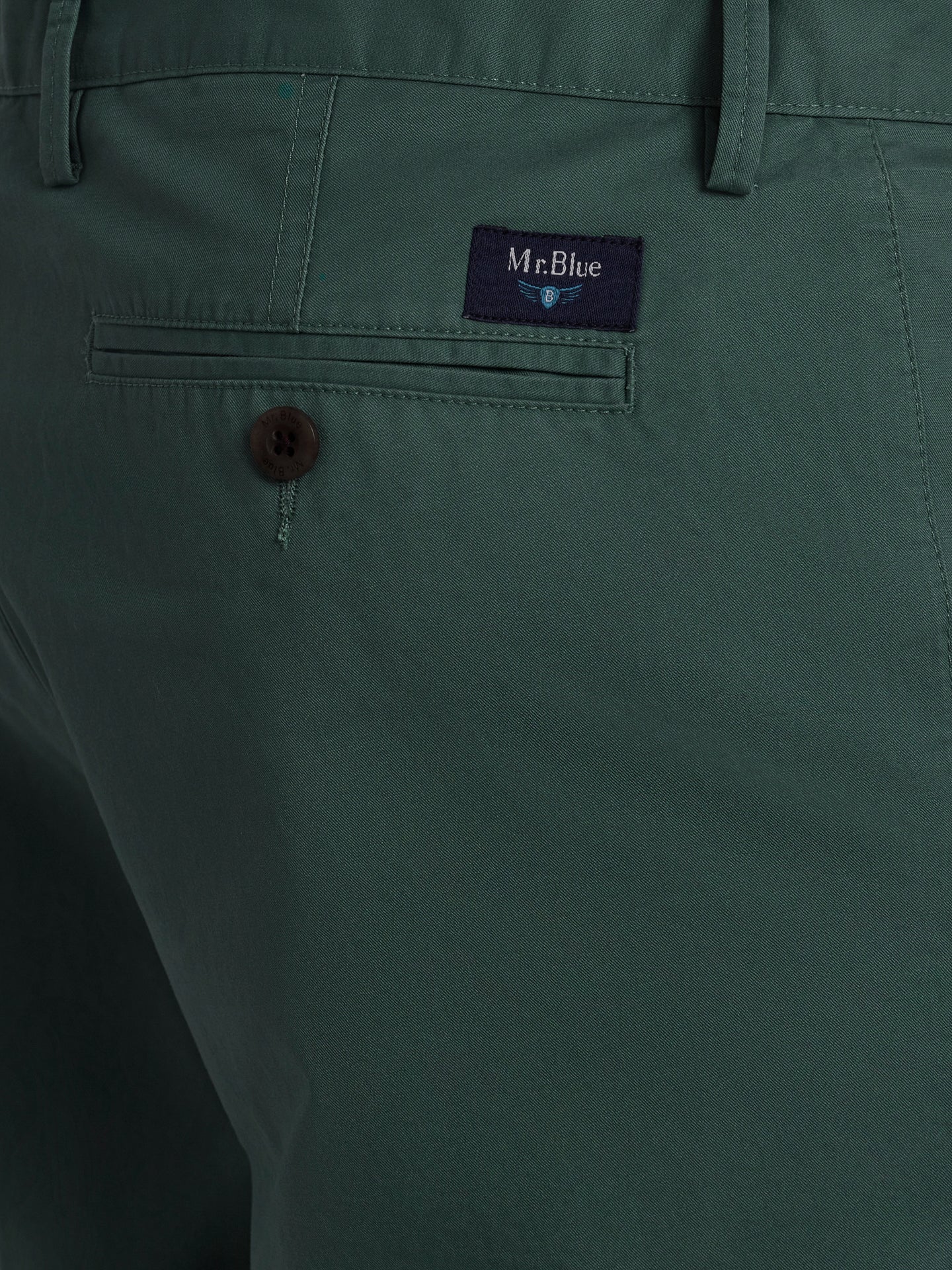 Mr. Blue Green Slim Fit Shorts