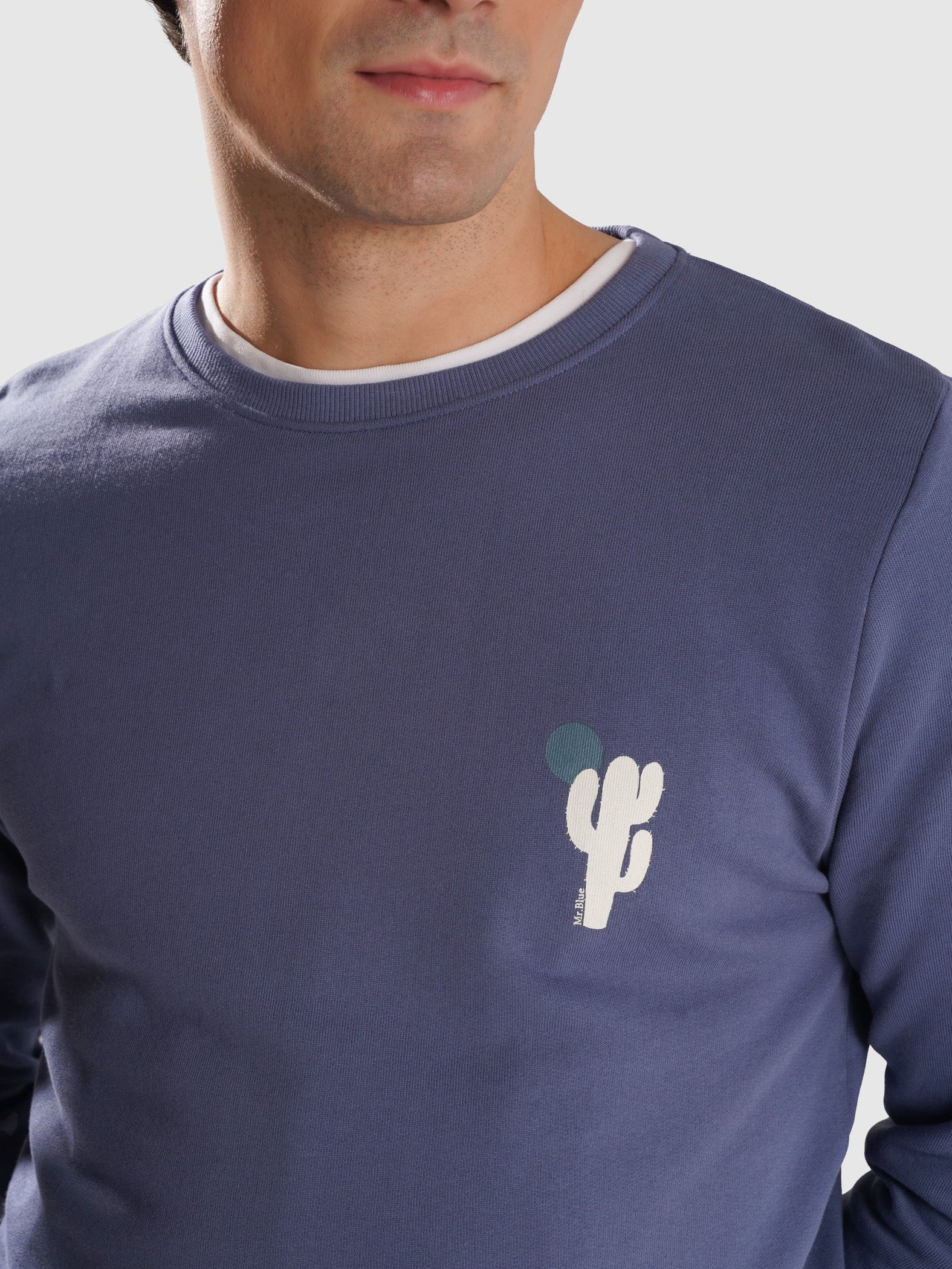 HOODIE AZUL REGULAR FIT MR. BLUE