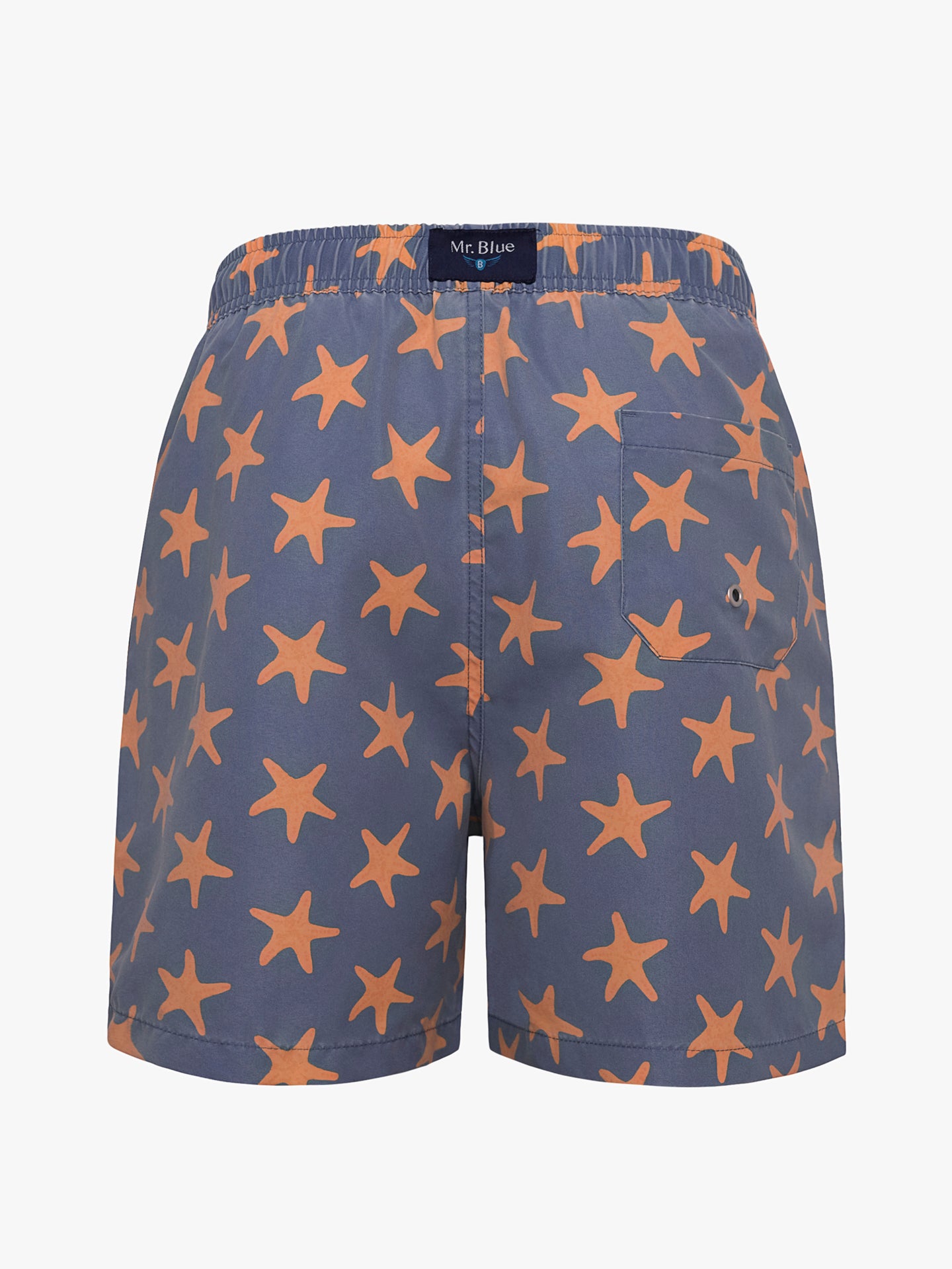 Mr. Blue Classic Swimsuit