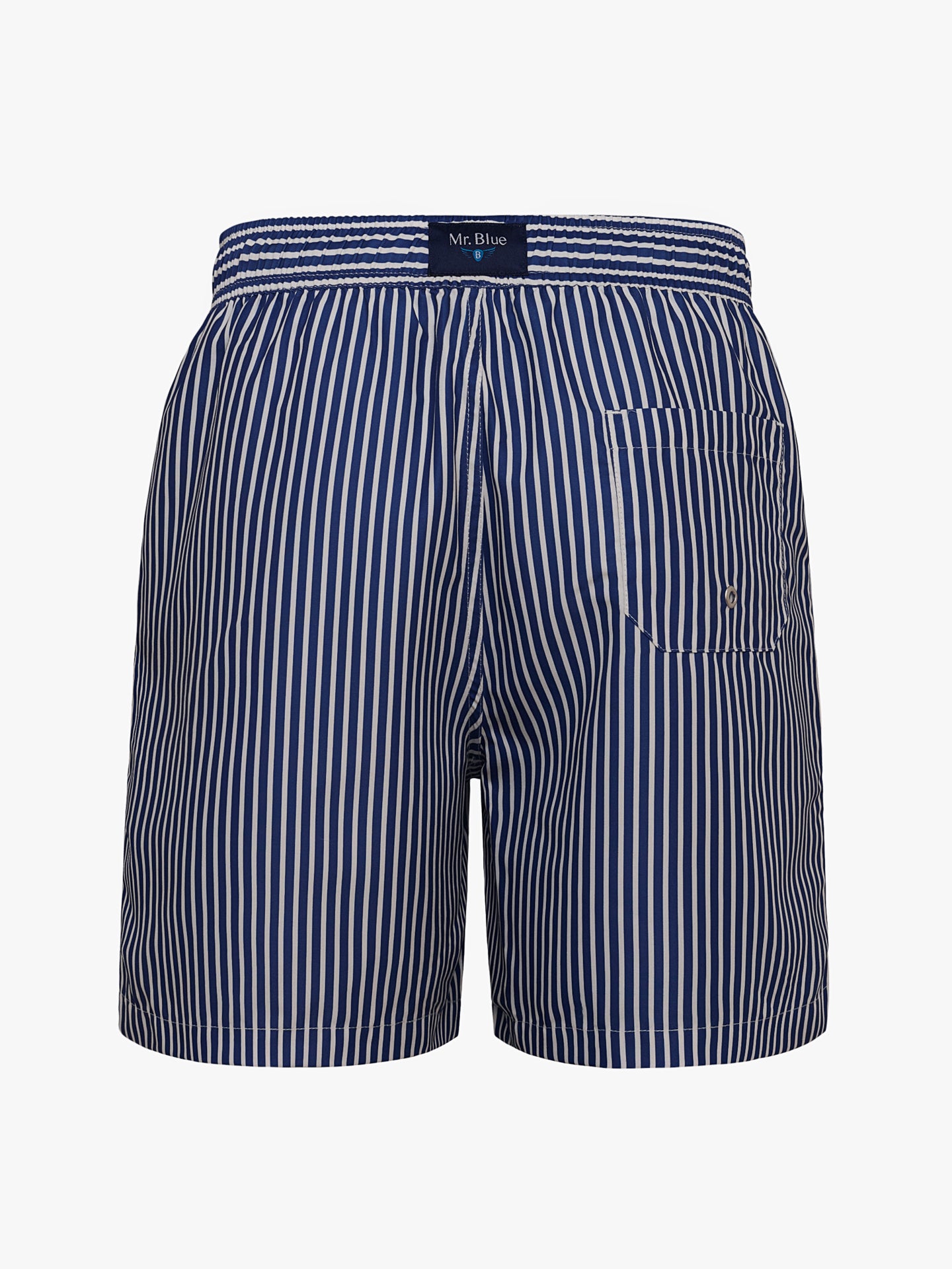 Mr. Blue Classic Swimsuit