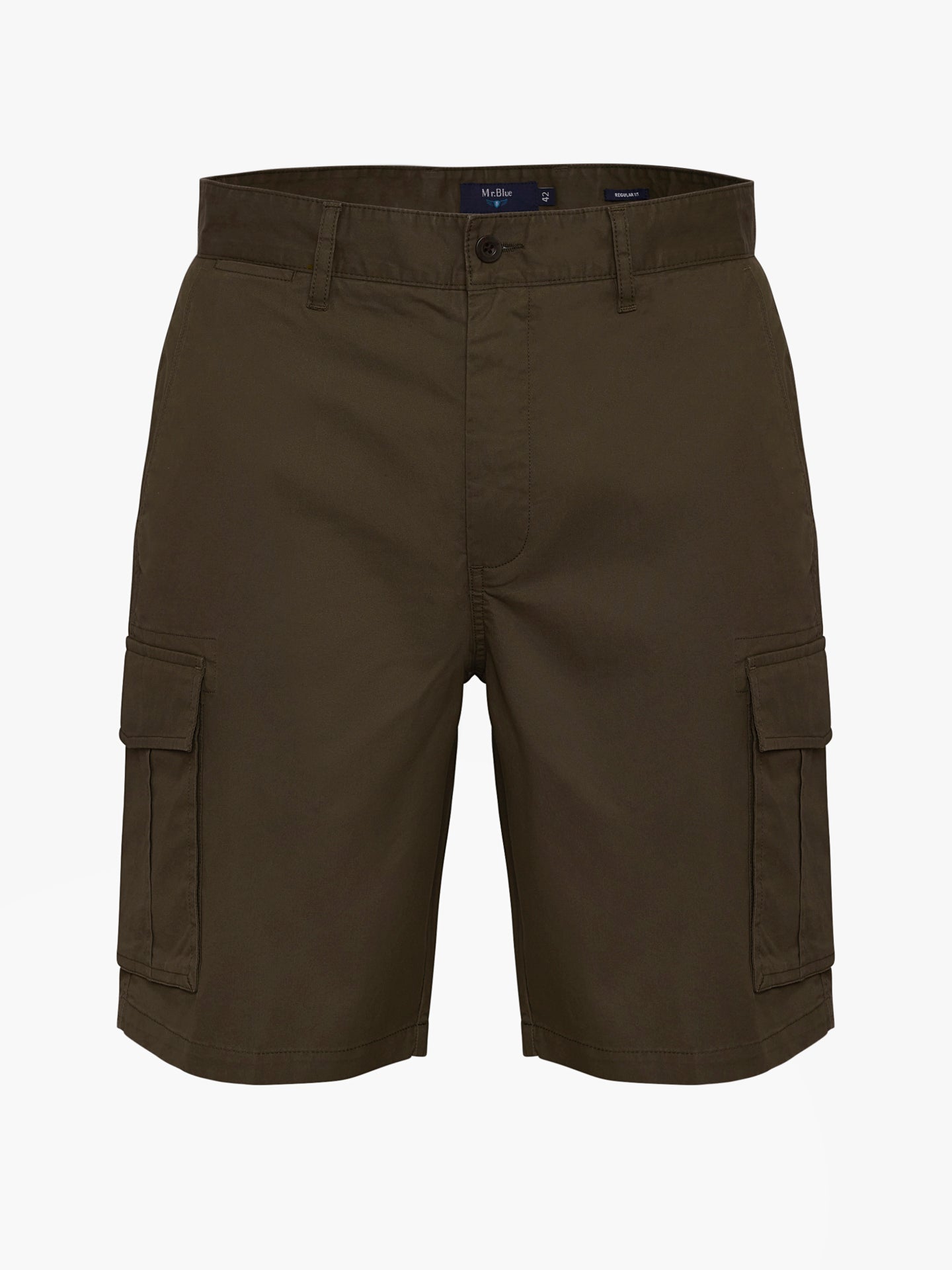 Mr. Blue Regular Fit Green Shorts