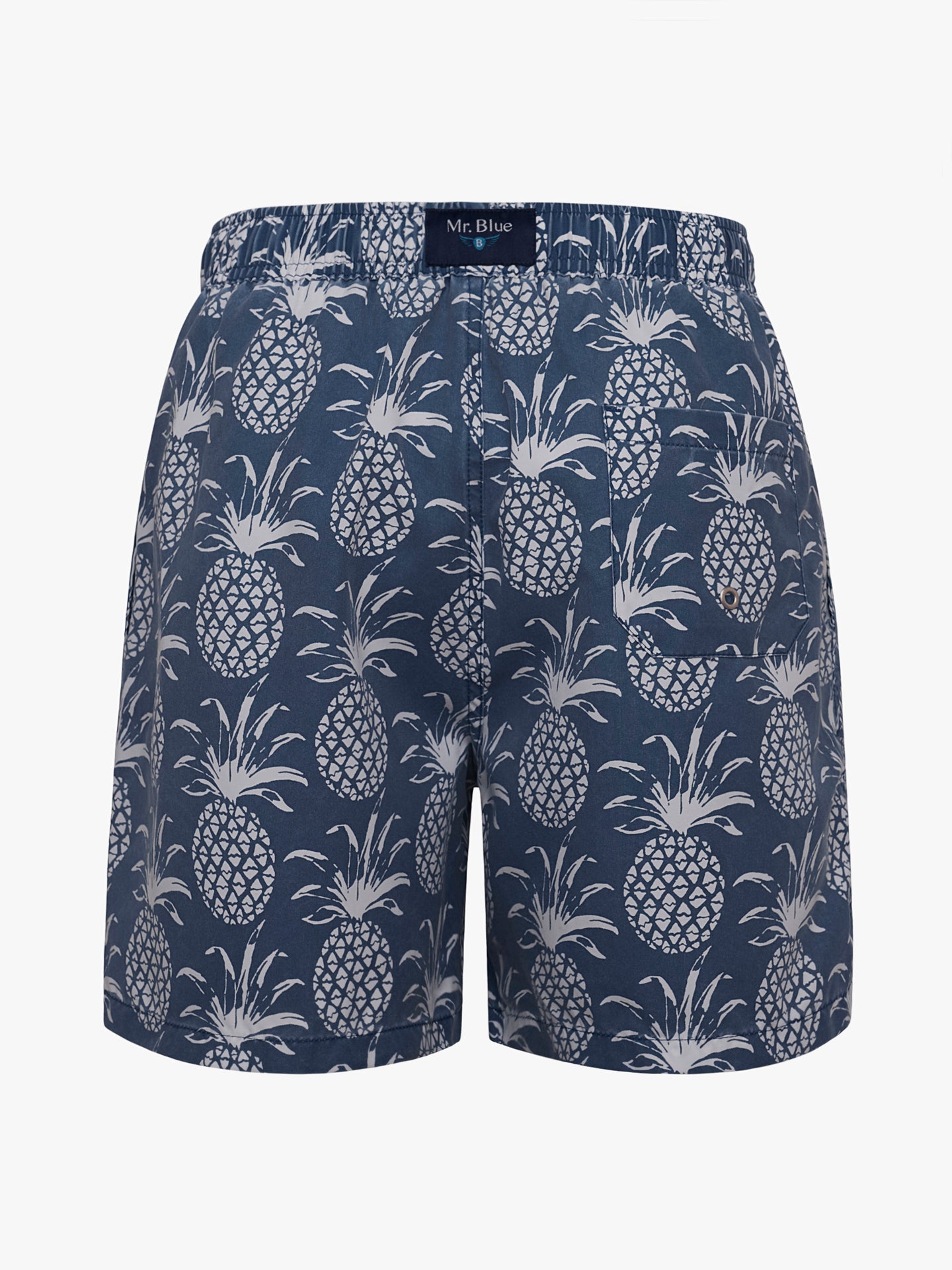 Mr. Blue Classic Swimsuit