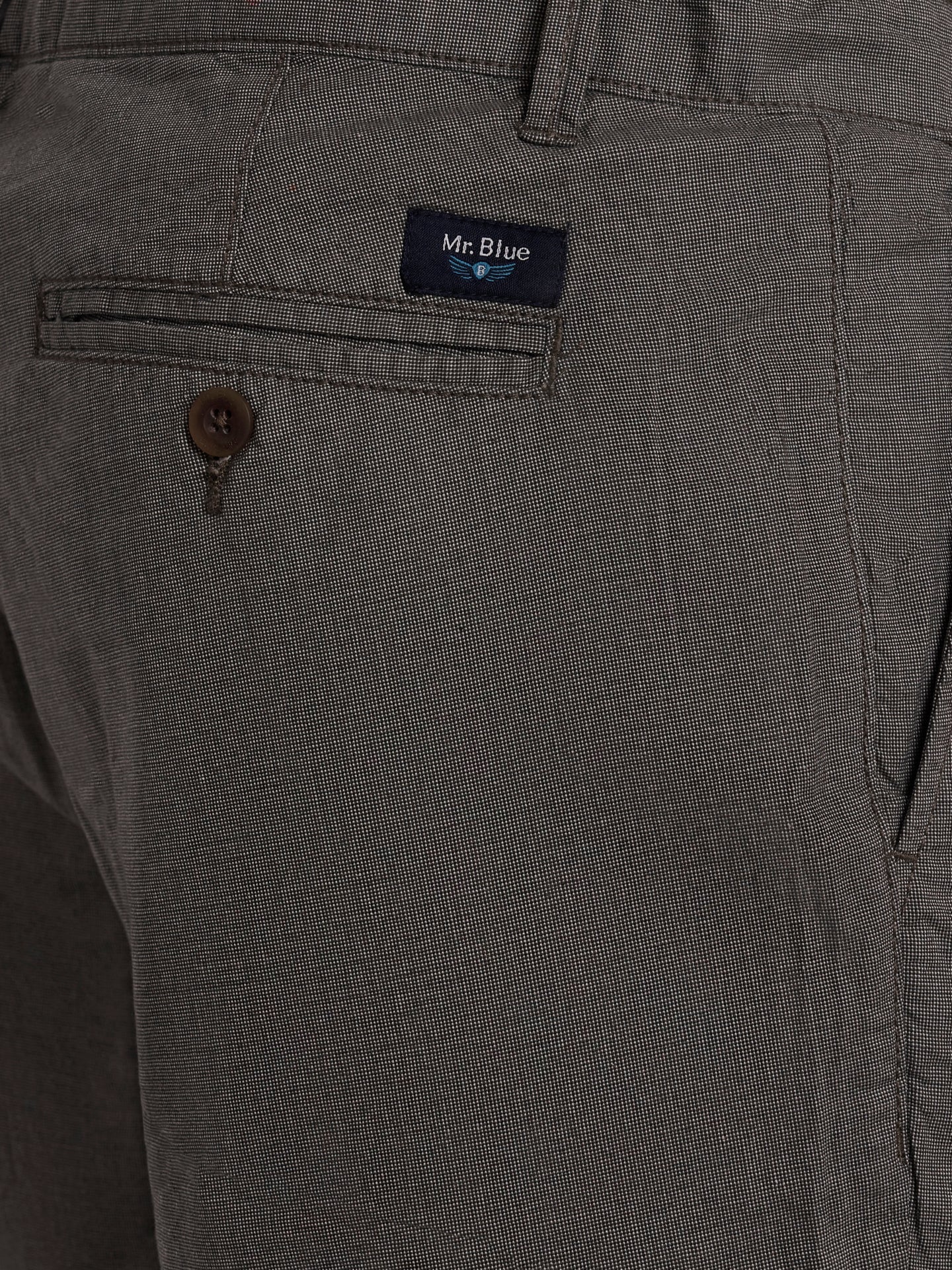 Mr. Blue Green Slim Fit Shorts