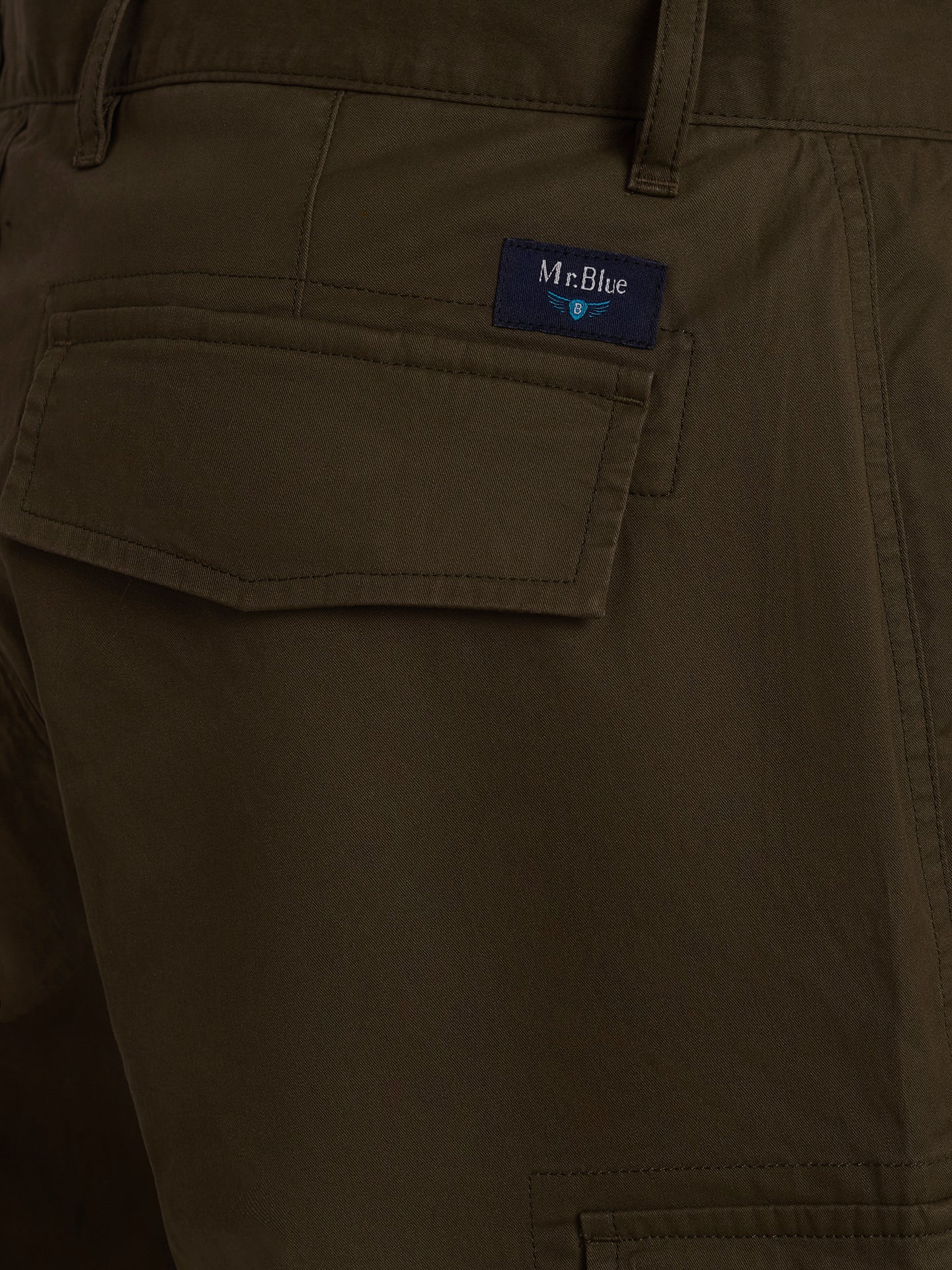 Mr. Blue Regular Fit Green Shorts
