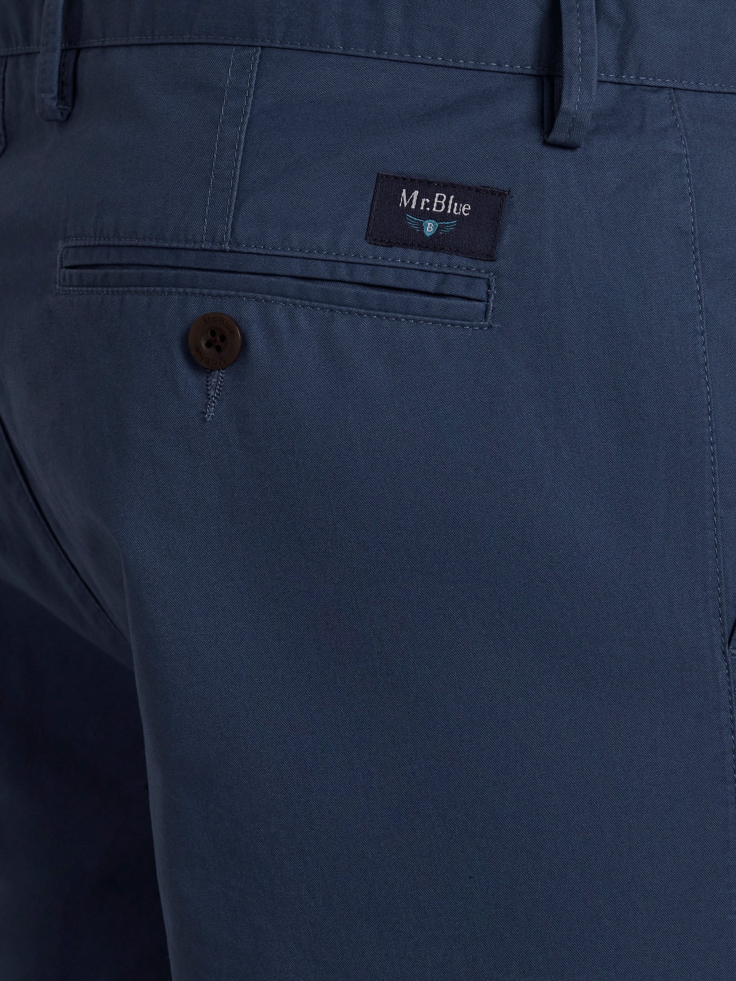 Mr. Blue Slim Fit Blue Shorts