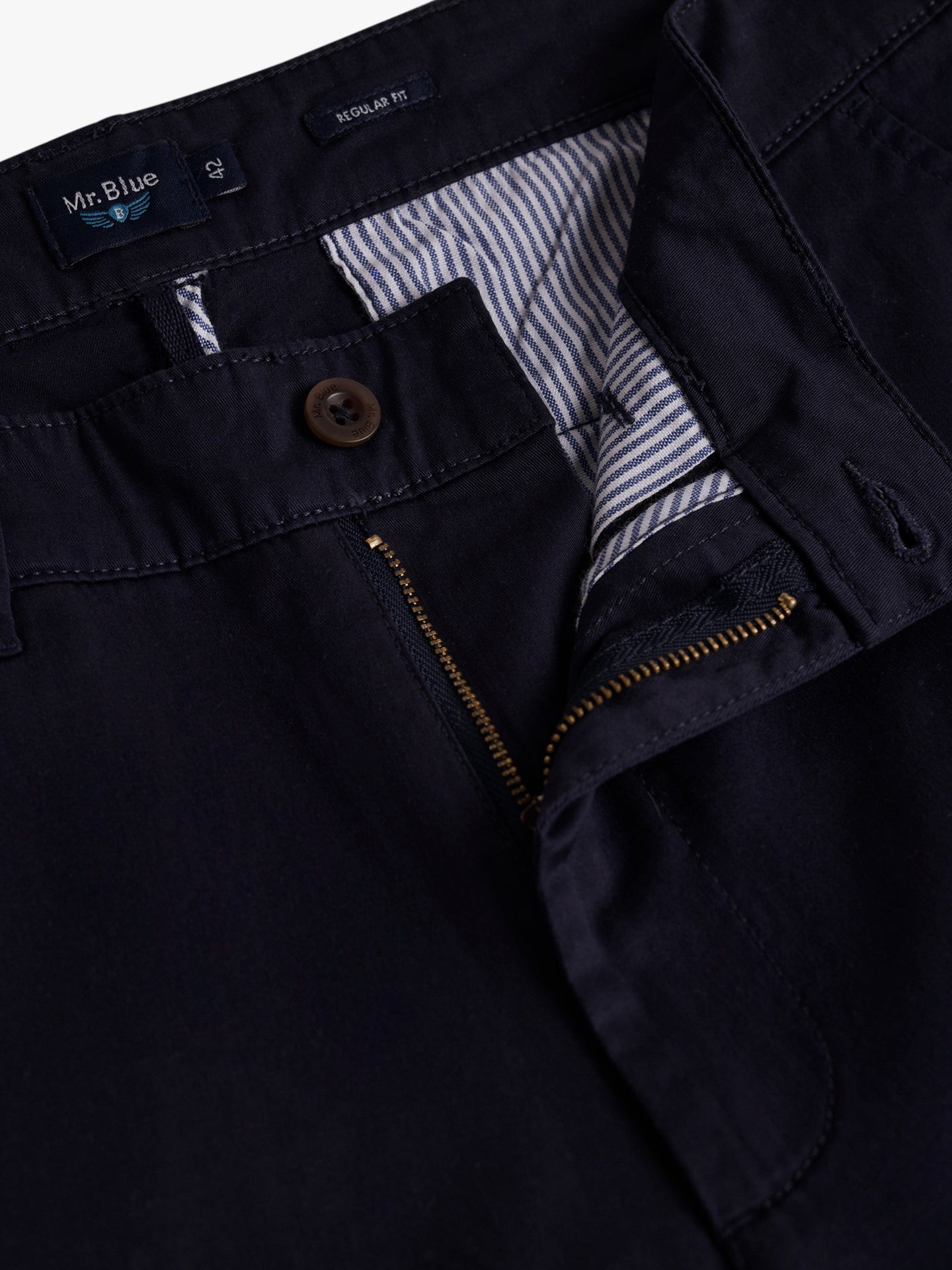 Mr. Blue Regular Fit Blue Shorts