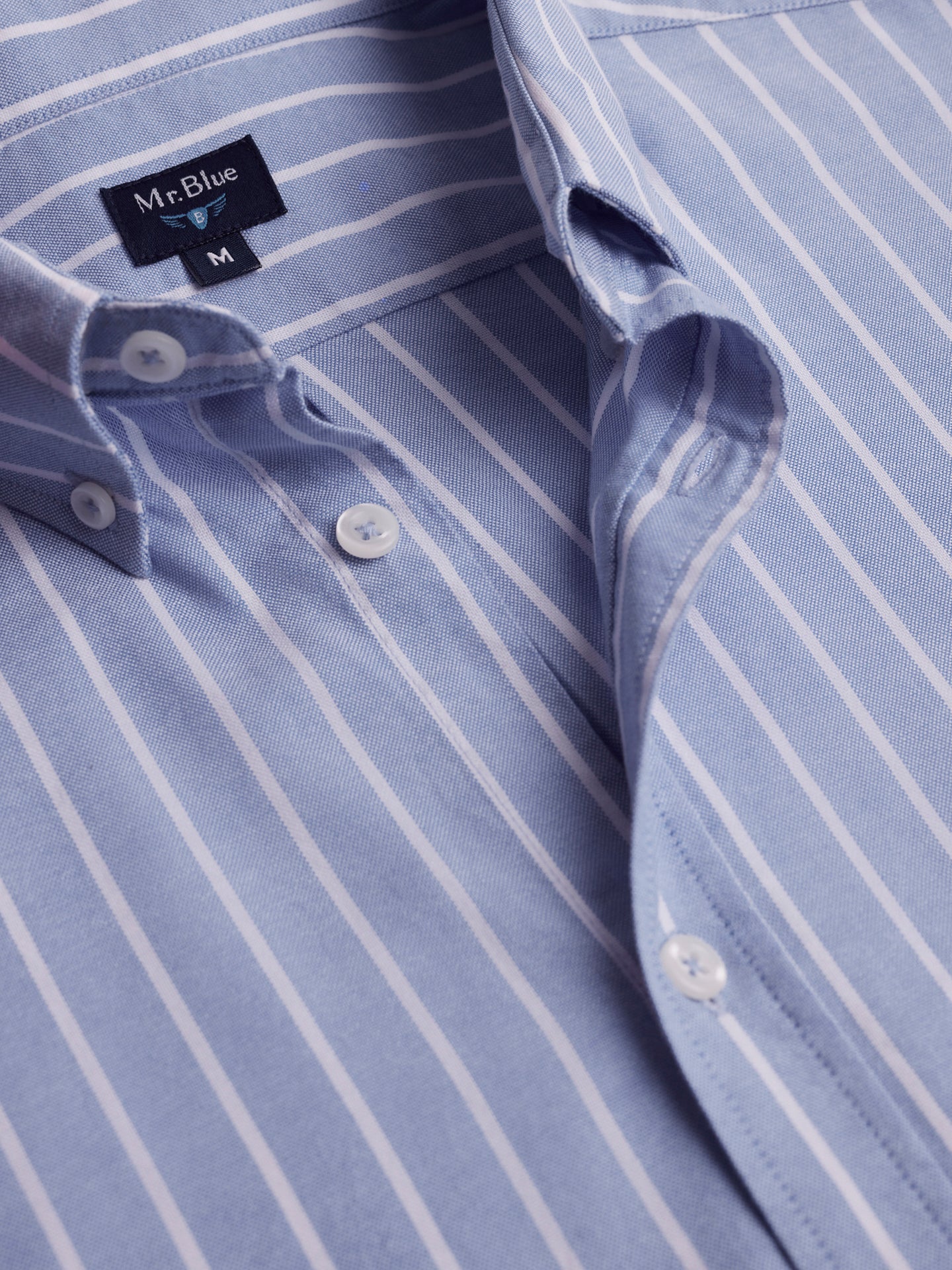 Mr. Blue Regular Fit Oxford Blue Shirt