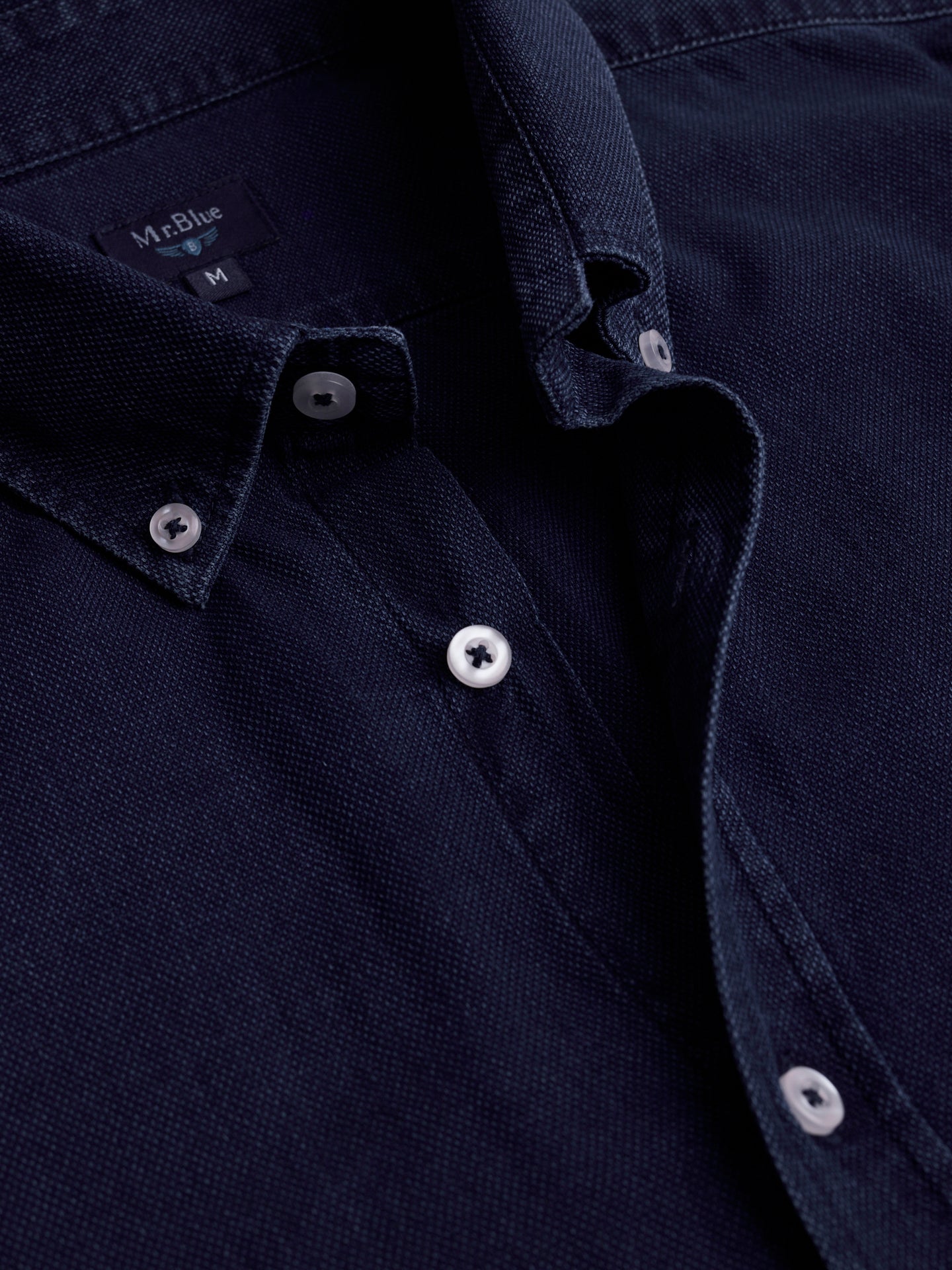 Mr. Blue Regular Fit Denim Shirt
