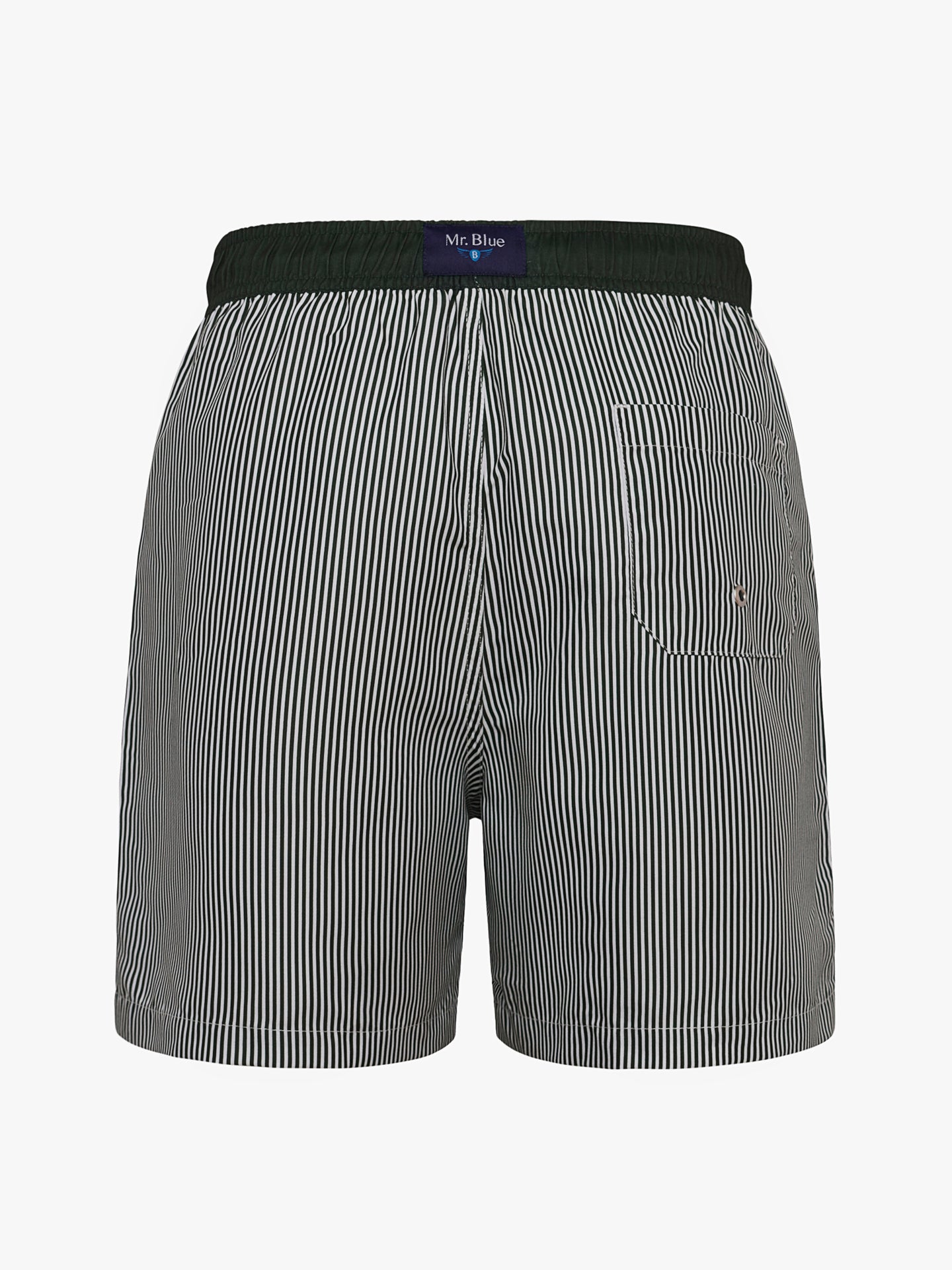 Mr. Blue Classic Green Swimsuit