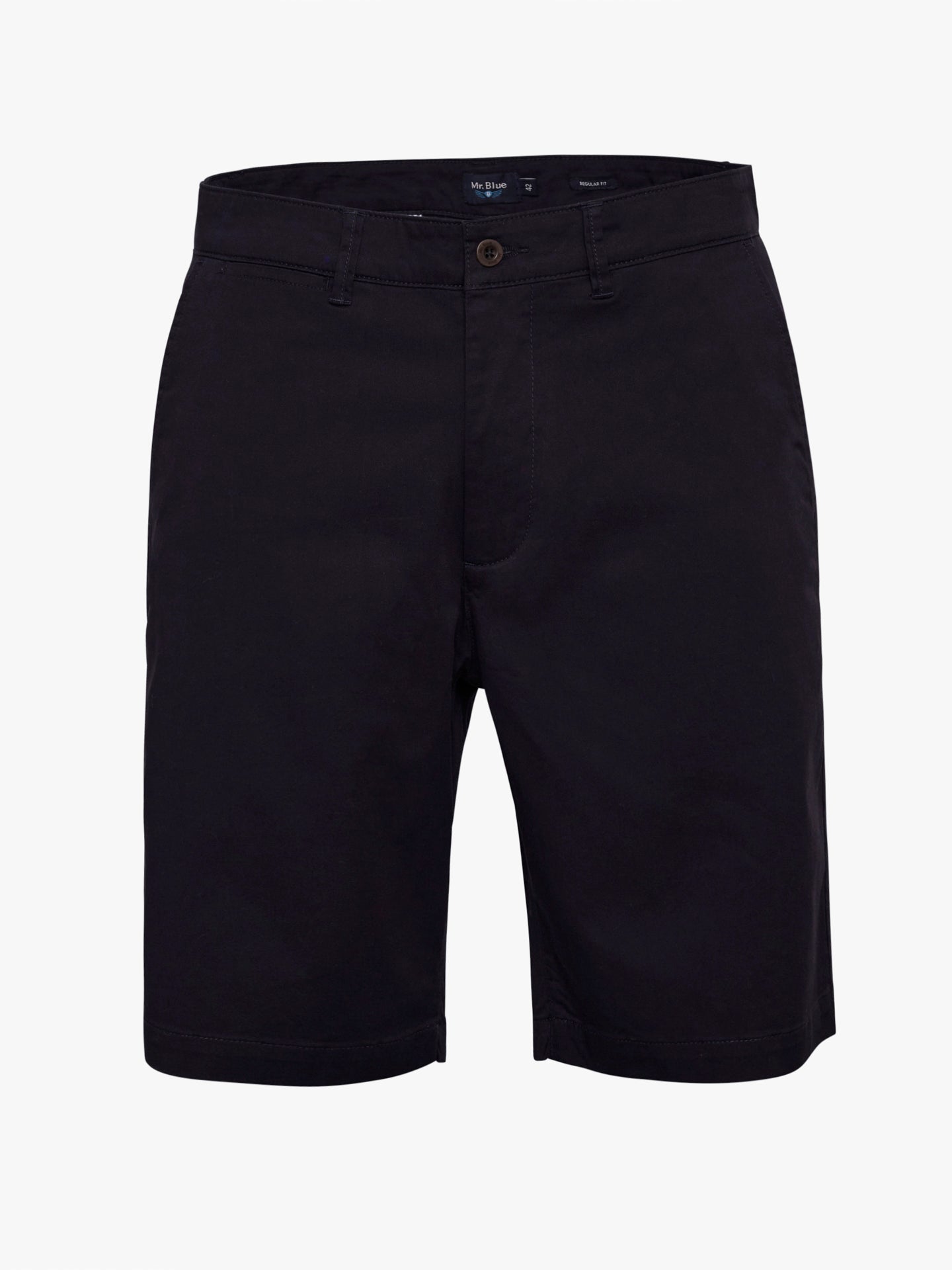 Mr. Blue Regular Fit Blue Shorts